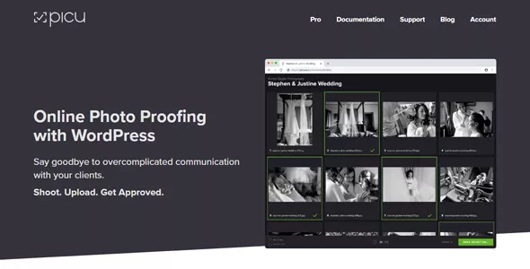 picu Pro v1.0.2 - Online Photo Proofing with WordPress