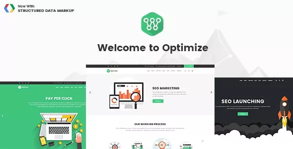 Optimize v2.1 - SEO & Social Media Theme