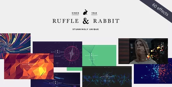 Rabbit v6.0.0 - Elementor Coming Soon WordPress Theme