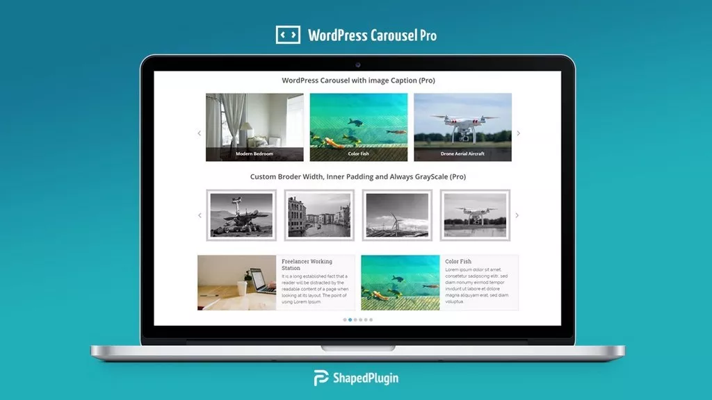 WP Carousel Pro