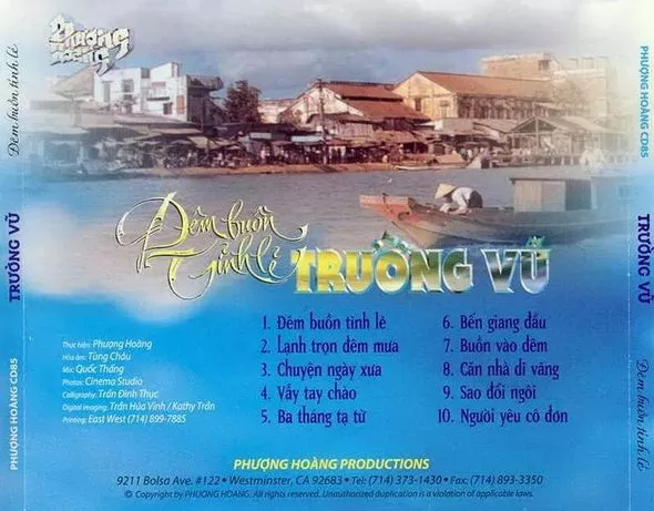 Trường Vũ - Đêm Buồn Tỉnh Lẻ