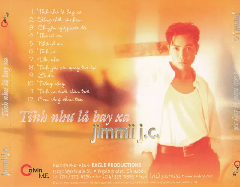 Jimmy Nguyễn - Tình Như Lá Bay Xa 1996