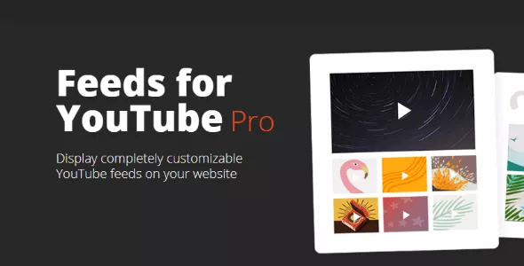 Feeds for YouTube Pro - The #1 Custom YouTube Feed Plugin for WordPress