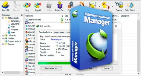 Internet Download Manager