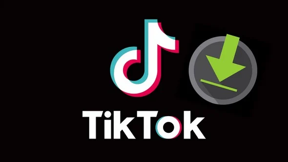 TikTok Downloader Portable