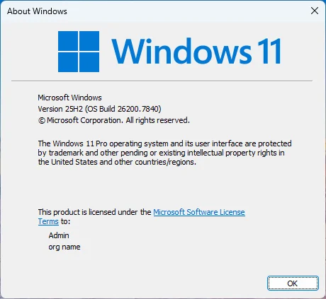Win 11 25H2 Pro Full Soft - Update February 2026