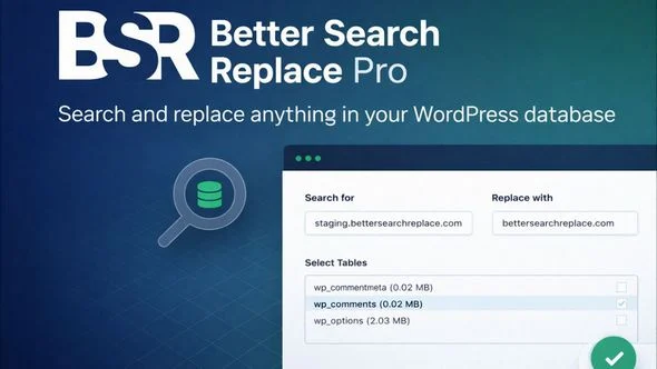 Better Search Replace Pro