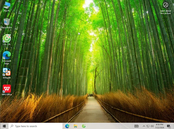 ISO Windows 10 Home/Pro Version 22H2